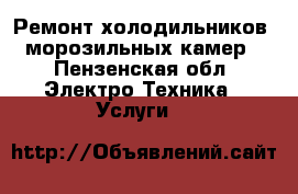 Ремонт холодильников, морозильных камер - Пензенская обл. Электро-Техника » Услуги   